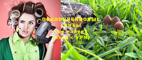 бутират Надым
