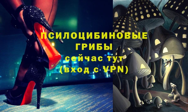 бутират Надым