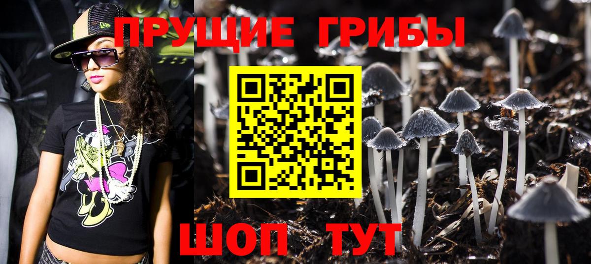Находка  Галлюциногенные грибы Psilocybe  купить наркотики сайты  Вход с VPN 
