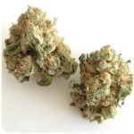 Шишки "White Widow"  (Белая вдова)  Гидропоника -  Бошка VHQ в Находке