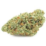 Шишки OG Kush  (Гидропоника, бошки) VHQ в Находке